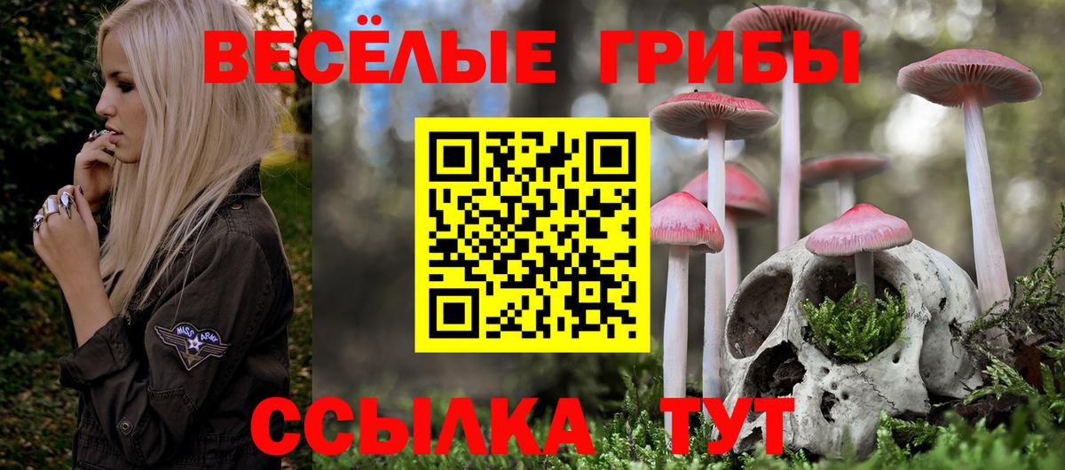 Галлюциногенные грибы Psilocybine cubensis Кириши