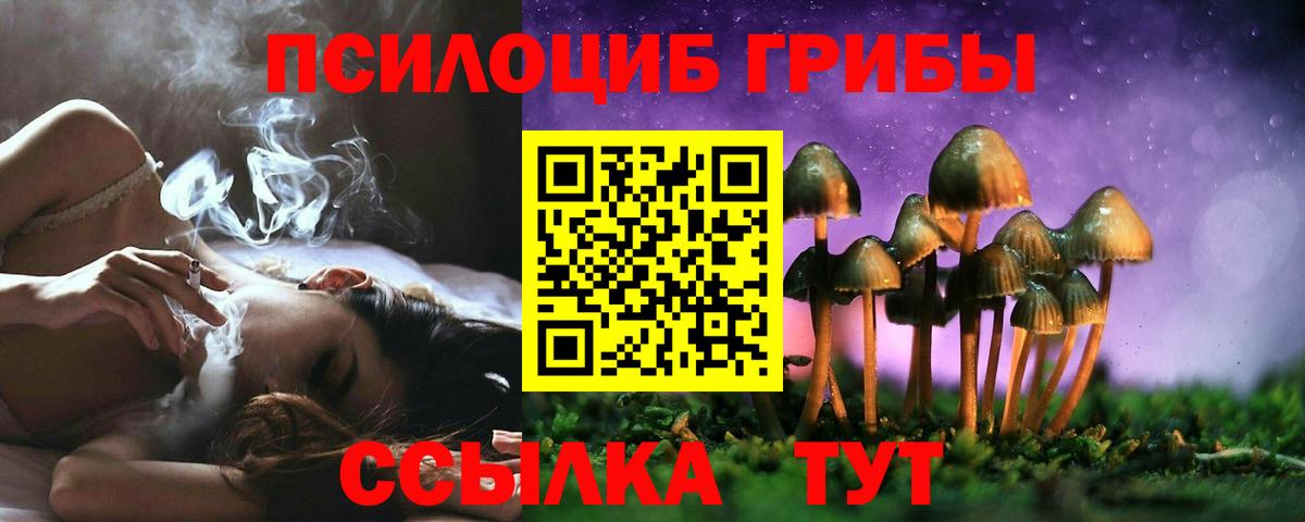 Кириши  Галлюциногенные грибы Psilocybe  Вход с VPN 