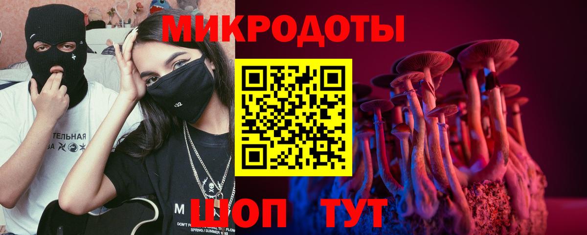 Альфа ПВП Кириши